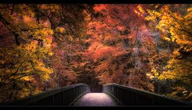 schwentine-ohne-bruecke.jpg