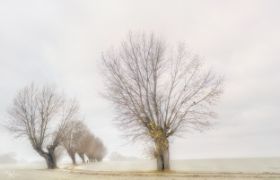 MKL_2064.jpg