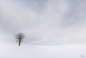 MKL_4051-sw.jpg